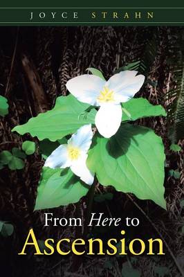 From Here to Ascension (Paperback)