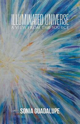 Illuminated Universe: A View from the Source (Paperback)