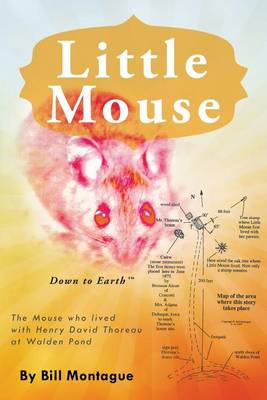 Little Mouse (Paperback)