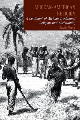 African-American Religion: A Confluent of African Traditional Religion and Christianity (Paperback)