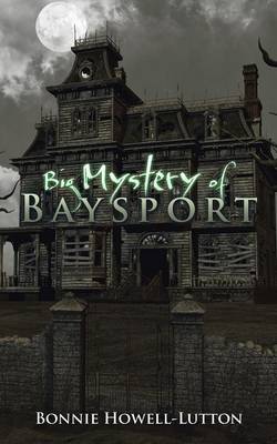 Big Mystery of Baysport (Paperback)