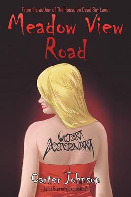 Meadow View Road (Paperback)