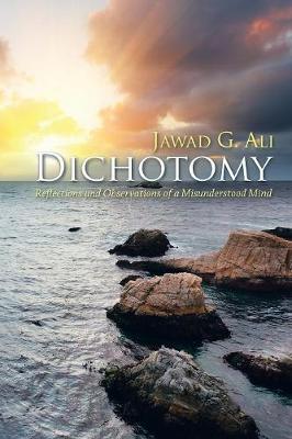 Dichotomy: Reflections and Observations of a Misunderstood Mind (Paperback)