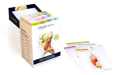 Anatomy Flashcards By Stephanie Mccann Joanne Tillotson Waterstones