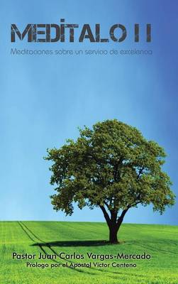 Med�talo: II Meditaciones Sobre Un Servicio de Excelencia (Hardback)