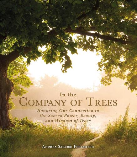 In the Company of Trees: Honoring Our Connection to the Sacred Power, Beauty, and Wisdom of Trees (Hardback)