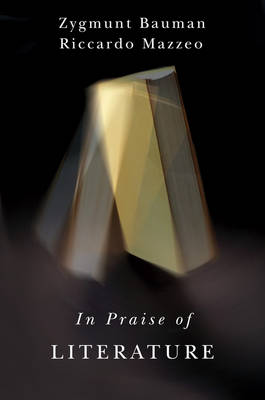 In Praise of Literature (Paperback)