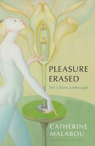 John Wiley and Sons Ltd Pleasure Erased