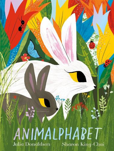 Animalphabet (Paperback)