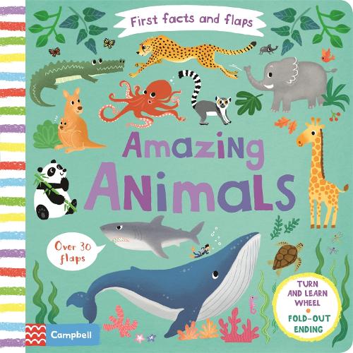 Amazing Animals by Lon Lee, Campbell Books | Waterstones