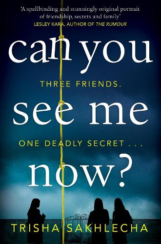 Can You See Me Now? (Paperback)