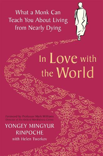 In Love with the World: What a Monk Can Teach You About Living from Nearly Dying (Paperback)
