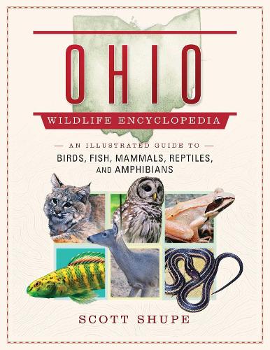 Ohio Wildlife Encyclopedia: An Illustrated Guide to Birds, Fish, Mammals, Reptiles, and Amphibians (Hardback)