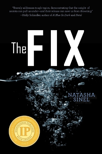 The Fix (Paperback)