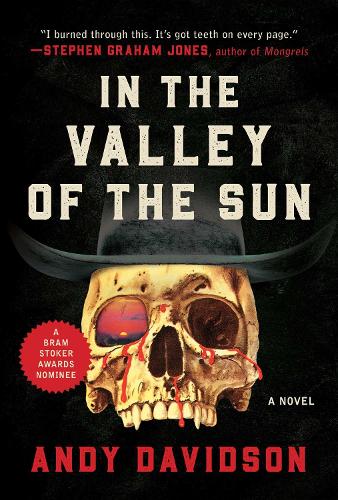 In the Valley of the Sun: A Novel (Paperback)