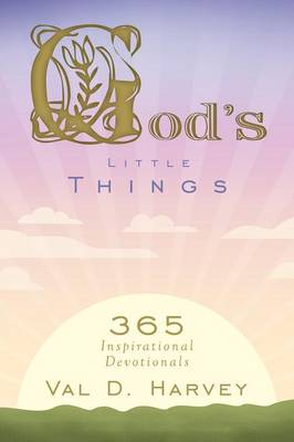 God's Little Things: 365 Inspirational Devotionals (Paperback)