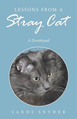 Lessons from a Stray Cat: A Devotional (Paperback)