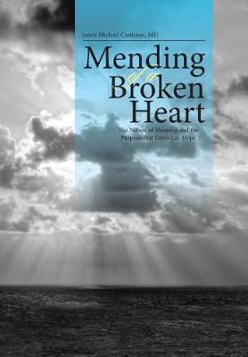 Mending of a Broken Heart: The Nature of Meaning and the Purpose That Gives Life Hope (Hardback)