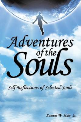 Adventures of the Souls: Self-Reflections of Selected Souls (Paperback)