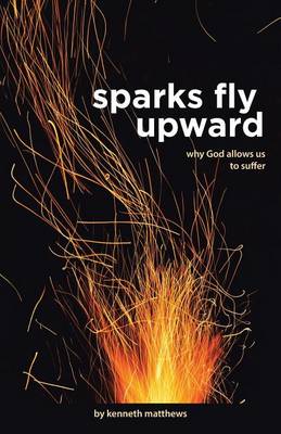 Sparks Fly Upward: Why God Allows Us to Suffer (Paperback)