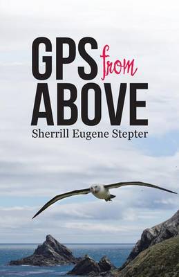 GPS from Above (Paperback)