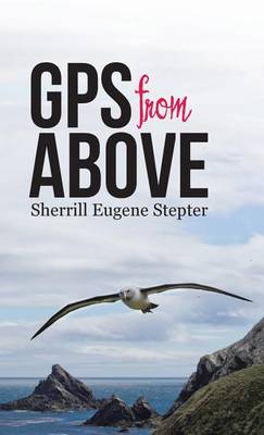GPS from Above (Hardback)