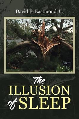 The Illusion of Sleep (Paperback)