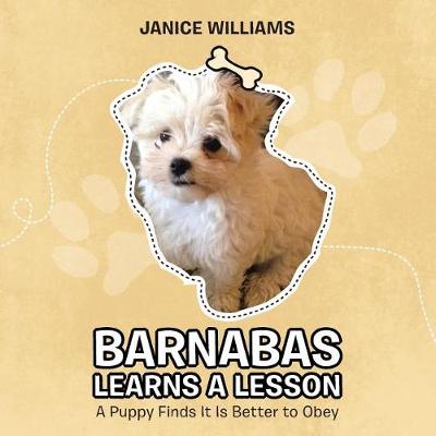 Barnabas Learns a Lesson: A Puppy Finds It Is Better to Obey (Paperback)