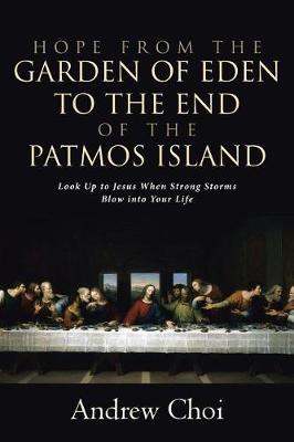 Hope from the Garden of Eden to the End of the Patmos Island: Look Up to Jesus When Strong Storms Blow Into Your Life (Paperback)