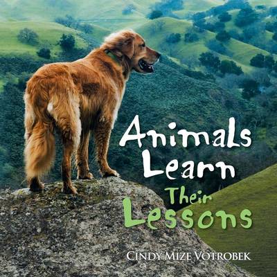 Animals Learn Their Lessons (Paperback)