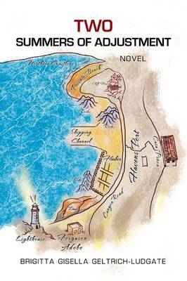 Two Summers of Adjustment: Novel (Paperback)