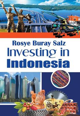 Investing in Indonesia (Hardback)