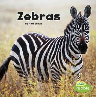 Zebras - Black and White Animals (Paperback)