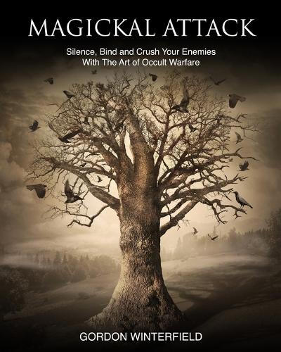 Magickal Attack by Gordon Winterfield | Waterstones