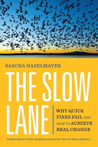 The Slow Lane: Why Quick Fixes Fail and How to Achieve Real Change (Paperback)