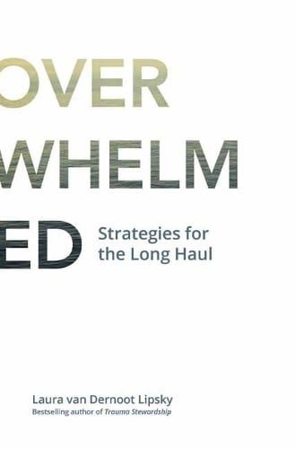 The Age of Overwhelm: Strategies for the Long Haul (Paperback)