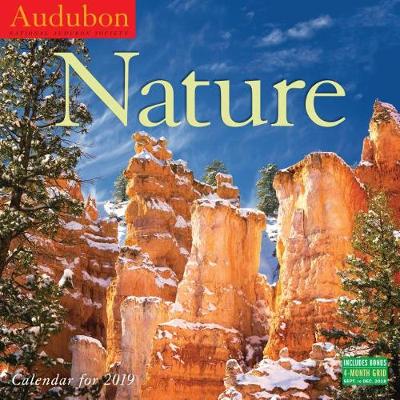 2019 Audubon Nature National Audubon Society (Calendar)