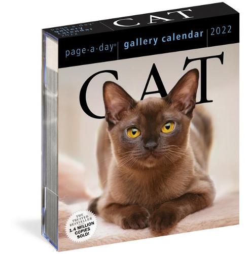 Kitten Calendar 2023 Kitten Calendar 2023