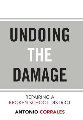 Undoing the Damage: Repairing a Broken School District (Hardback)