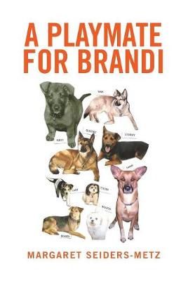 A Playmate for Brandi (Hardback)