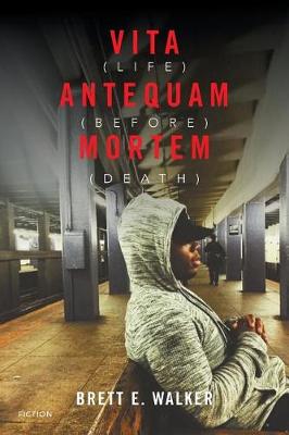 Vita Antequam Mortem: Life Before Death (Paperback)