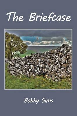 The Briefcase (Paperback)