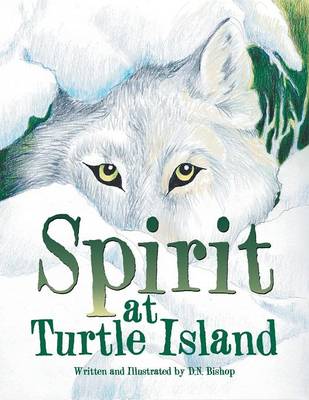 Spirit at Turtle Island (Paperback)