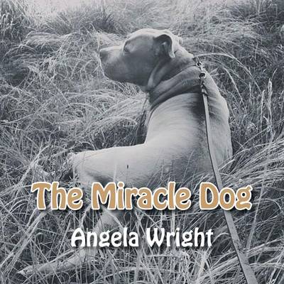 The Miracle Dog (Paperback)