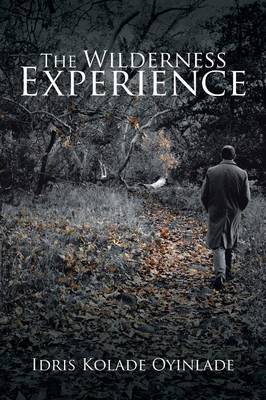 The Wilderness Experience (Paperback)