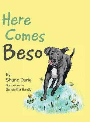 Here Comes Beso (Hardback)