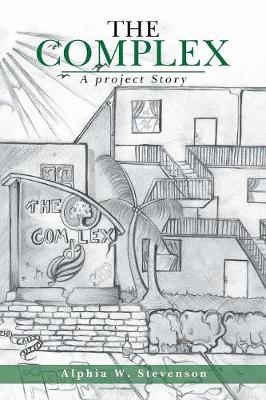 The Complex: A Project Story (Paperback)