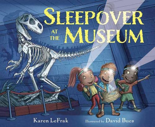 Sleepover At The Museum (Hardback)