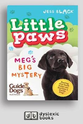 Meg's Big Mystery: Little Paws 2 (Paperback)