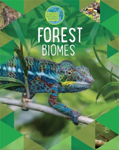 Earth's Natural Biomes: Forests - Earth's Natural Biomes (Paperback)